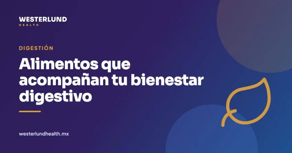Alimentos que acompañan tu bienestar digestivo — Westerlund Health