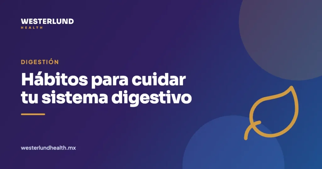 Hábitos para cuidar tu sistema digestivo — Westerlund Health