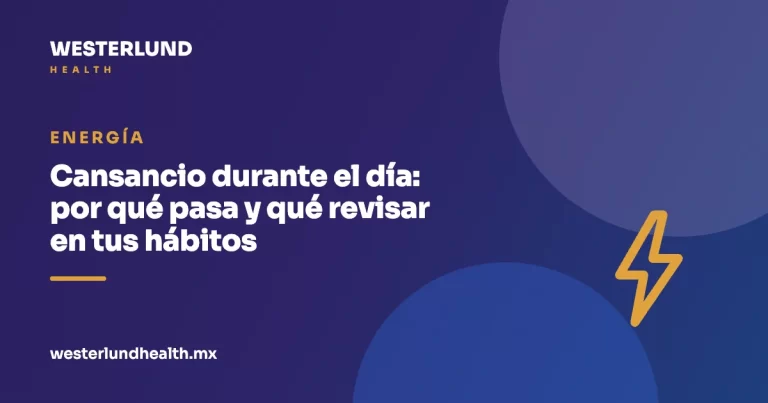 Cansancio durante el día: por qué pasa y qué revisar en tus hábitos
