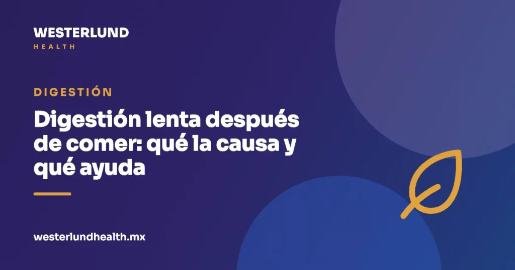 Digestión lenta después de comer: qué la causa y qué ayuda