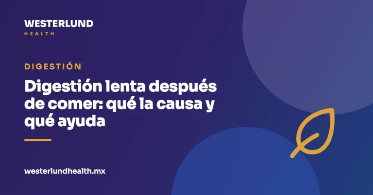 Digestión lenta después de comer: qué la causa y qué ayuda